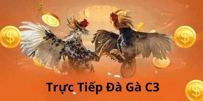 Cách đặt cược đá gà đơn giản và dễ hiệu tại 99OK